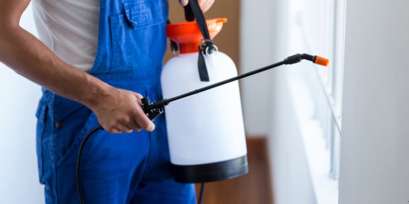 Como Fazer Dedetização em Casa em Vitória: 4 Dicas Simples Como fazer dedetização em casa em Vitória