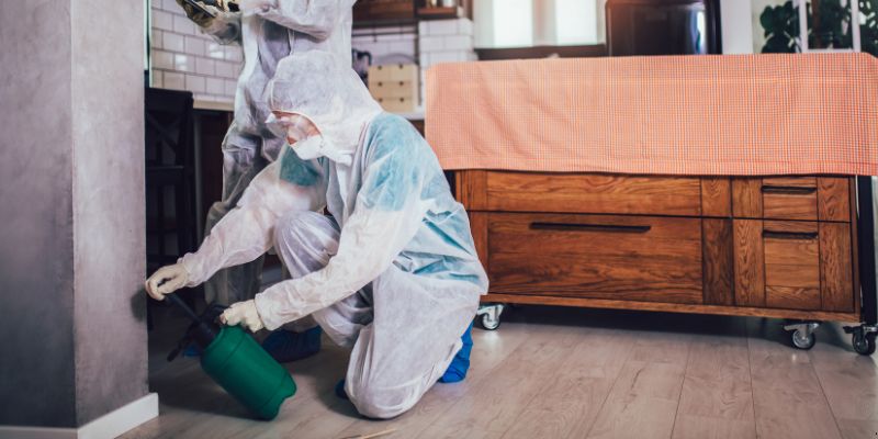 Dedetização em Apartamento Como Funciona em Vitória: Confira 4 Passos Dedetização em Apartamento Como Funciona em Vitória: Confira 4 Passos