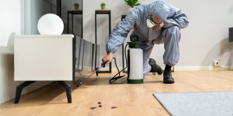 Quanto Tempo Dura Uma Dedetização em Vitória? Confira! Quanto tempo dura uma dedetização em Vitória?